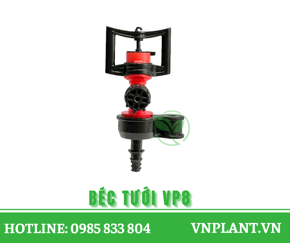 bec tuoi vp8